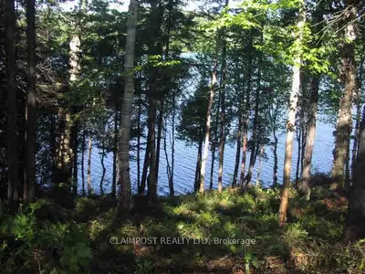 Lot 28 Catfish Lake, Hwy 17 N, Wawa, On P0s 1k0