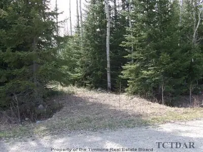 Se 1/4 Lot 7 Con 3 Savard Twp Bear Road, Charlton, On P0j 1b0