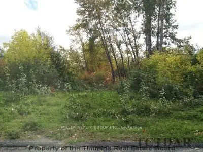 Lot 90 & Lot 13 Albert Street, Temiskaming Shores, On P0j 1k0