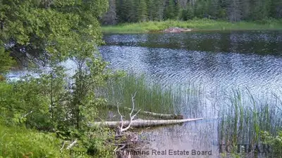 Lot 20 River Road, Greater Napanee, On P0j 1b0