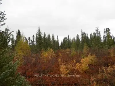 Con 2 S Pt Lot 4, Iroquois Falls, On P0k 1c0
