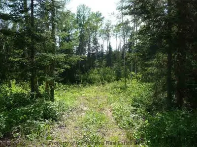 917938 Portage Bay Road, Timiskaming, On P0j 1c0