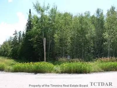 Con 4 N Pt Lot Highway 65 West, Cane Township, On P0j 1m0
