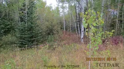 11 Lecuyer Road, Kapuskasing, On P0l 1v0