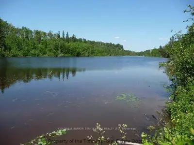 Lot #6 Campbells Road, Englehart, On P0j 1b0