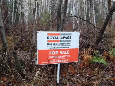 Lot 11, 12, 24 Coleman Twp, Temiskaming Shores, On P0j 1n0
