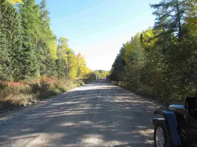 Cheminis Road, Mcgarry Twp, On P0k 1x0