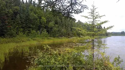 Lot 10 Otto Road 1, Otto Twp, On P0k 1t0