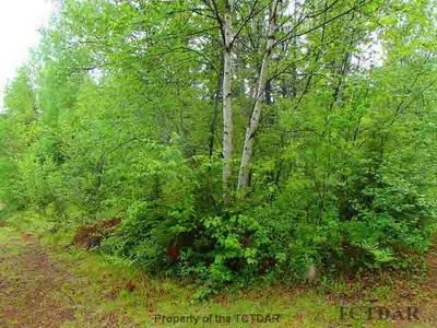 Lots 577, 578, Raynard Avenue, Lebel Twp, On P0k 1k0