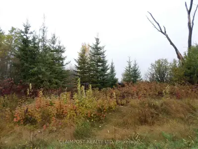 1149 Tritton Road, Black River Matheson, On P0k 1n0