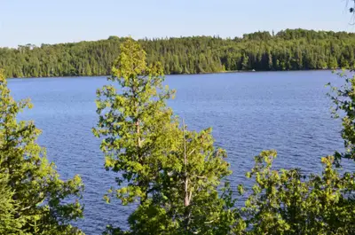 Pts 1,2,3&4 Pl 54r5241 Owens Point Road, Kirkland Lake, On P0k 1l0