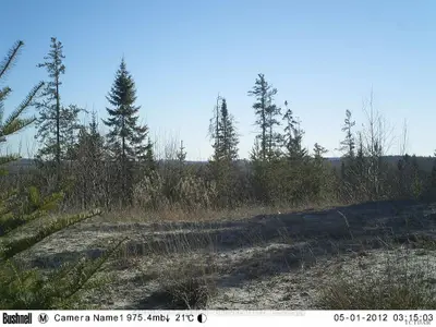 Lot 7 Con 6 Lundy Road N, Lundy Twp, On P0j 1p0