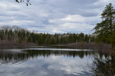 Lot 5 Rye Street, Timiskaming, On P0k 1m0