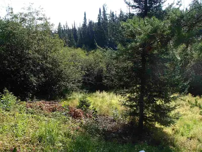 Indian Bay Road, Cane Township, On P0j 1e0