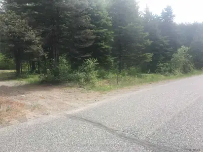 Lot 15, Lot 16 Bass Lake Road E, Coleman Twp,, On P0j 1c0