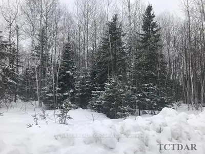 Lot 19 Con 1 Murphy Mill Road, Timiskaming, On P0j 1n0
