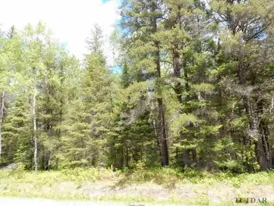 Lot #6 Bass Lake Road, Timiskaming, On P0j 1c0