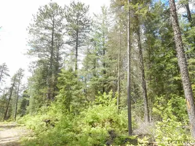 Lot #2 Bass Lake Road, Timiskaming, On P0j 1c0