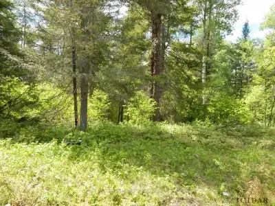 Lot #1 Bass Lake Road, Timiskaming, On P0j 1c0