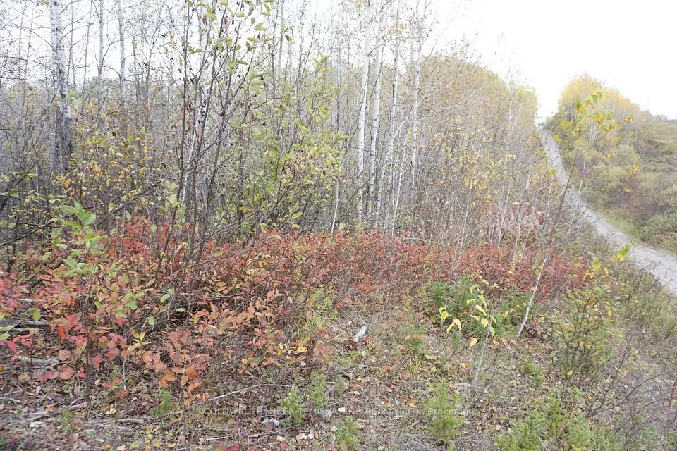 Lot 1A CAMPBELLS Road, Englehart, ON P0J 1B0