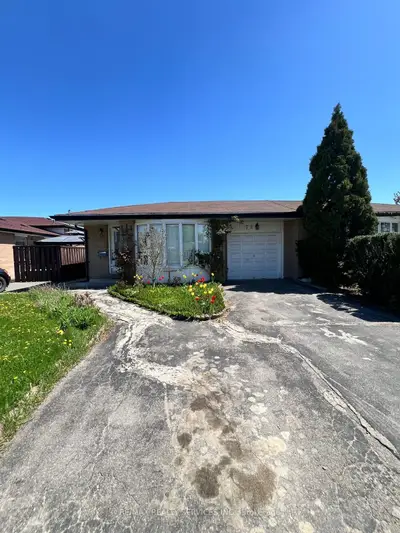 Link in Brampton