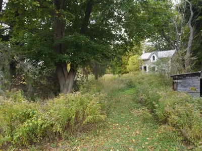 Farm in Milton