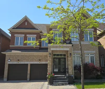 Lower Level in Oakville