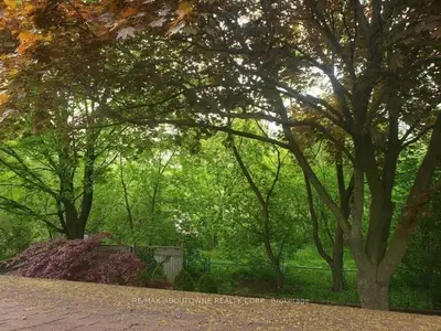Detached in Oakville