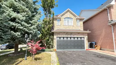 Lower Level in Mississauga