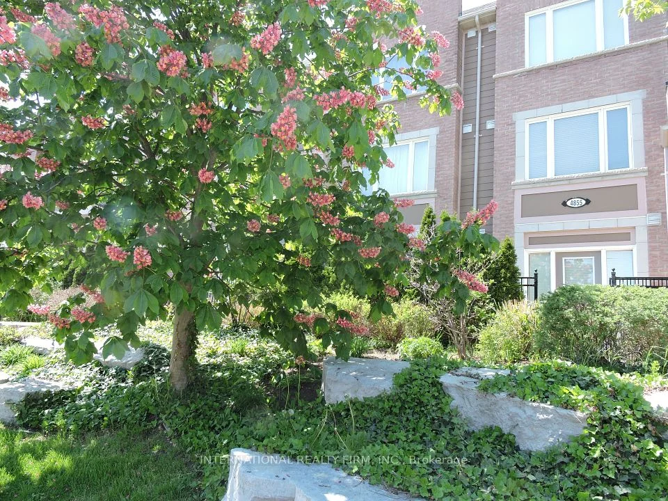 4855 Half Moon Grove, Mississauga, ON L5M 7P9