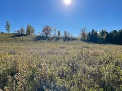 13062 Nassagaweya Esquesi, Townline, Milton, ON L7J 2W8