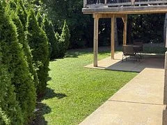 6 Jennifer Court W Basement, Toronto W05, On M3m 2t7