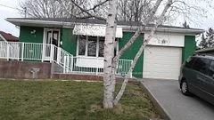 21 Humheller Road Bsmt, Toronto W10, On M9w 5k2