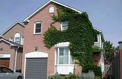 3115 Cambourne Crescent, Mississauga, ON L5N 5E8