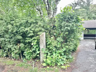 Detached in Oakville