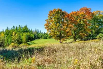 15910 South Lot Of 15910 Mississauga Road, Caledon, On L7c 1w8