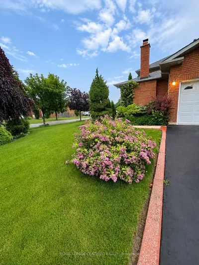 Lower Level in Mississauga
