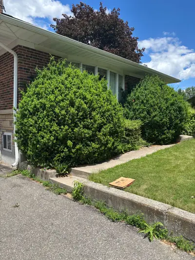 4 Winesap Place, Toronto, On M9a 1m4
