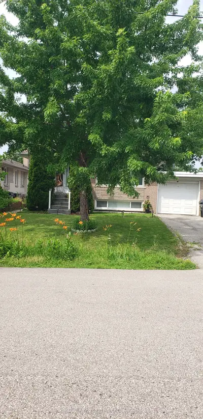 26 Nipissing Drive, Toronto, On M9b 4v5