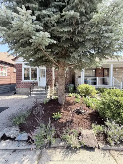 97 Livingstone Avenue, Toronto, On M6e 2l7