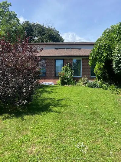 583 Tedwyn Drive Basement, Mississauga, On L5a 1k1