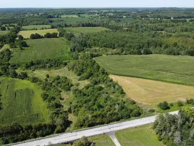 11080 First Line Nassagaweya, Milton, On L0p 1j0