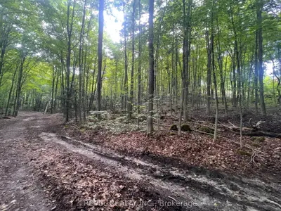 139 Main Street S, Milton, On L0p 1b0