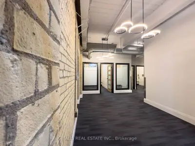 219 Dufferin Street 2a, Toronto, On M6k 1y9