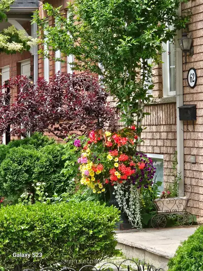 76 Viella Street, Toronto, On M6n 5c8