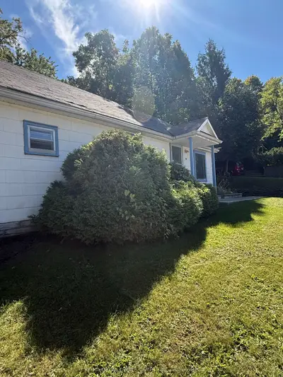 58 John Street, Halton Hills, On L7g 2j8