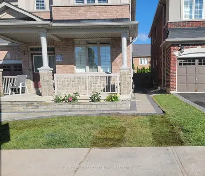3186 Southwind Road Basement, Mississauga, On L5m 0v8