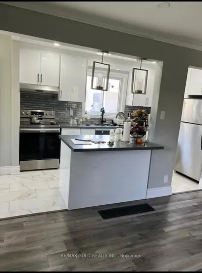 11 Brisco Street, Brampton, On L6v 1w9