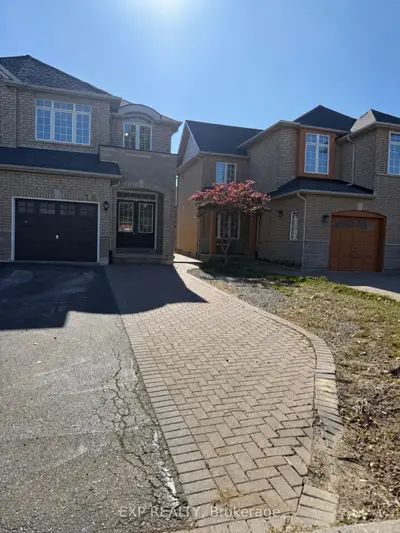 7683 Black Walnut Trail Basement, Mississauga, On L5n 8a6