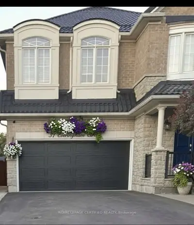 31 Everingham Circle Bsmt, Brampton, On L6r 0r7
